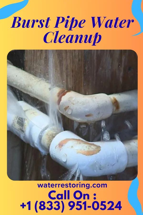 Burst Pipe Water Cleanup in Village of the Branch, NY
