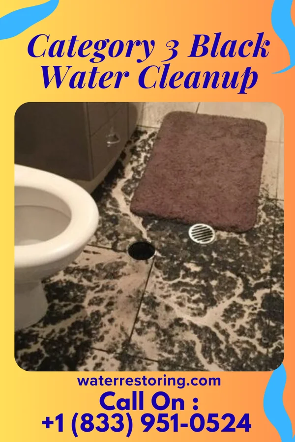 Category 3 Black Water Cleanup in Village of the Branch, NY