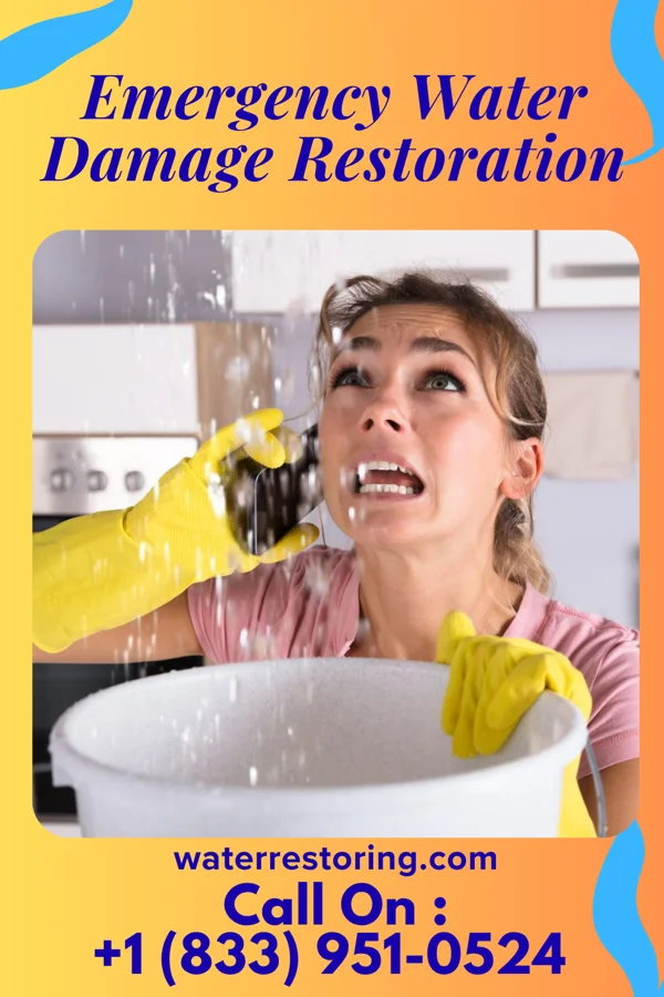 Emergency Water Damage Restoration in Village of the Branch, NY