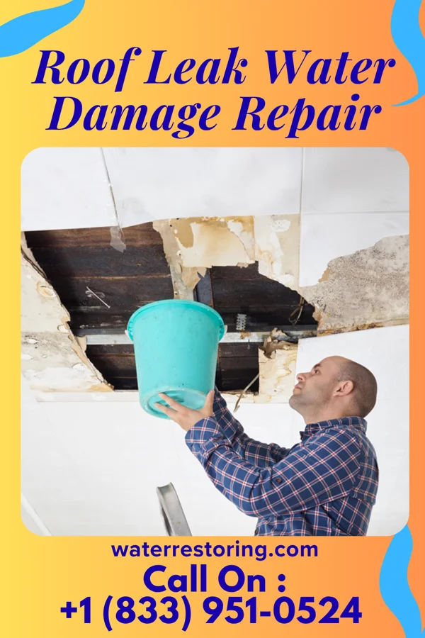 Roof Leak Water Damage Repair in Village of the Branch, NY