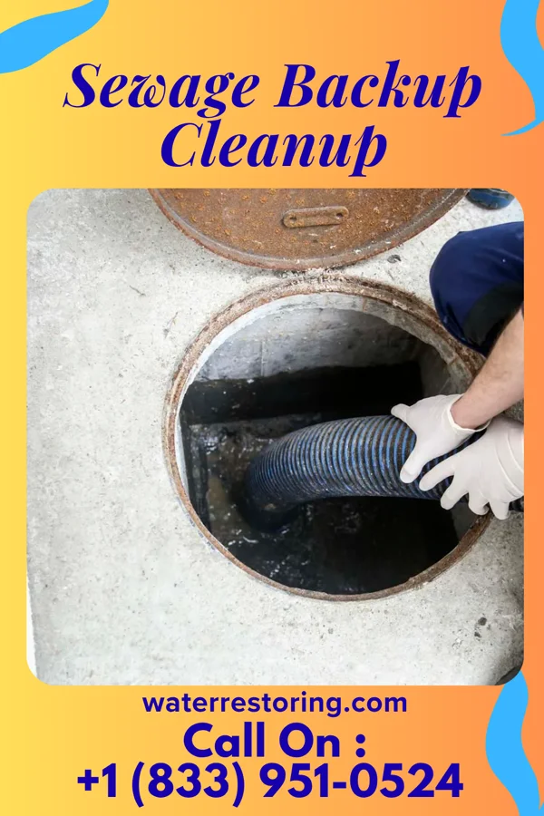 Sewage Backup Cleanup in Village of the Branch, NY